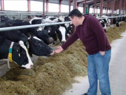 KazAgroFinance plans to allocate T1.2 billion for feed production in 2011