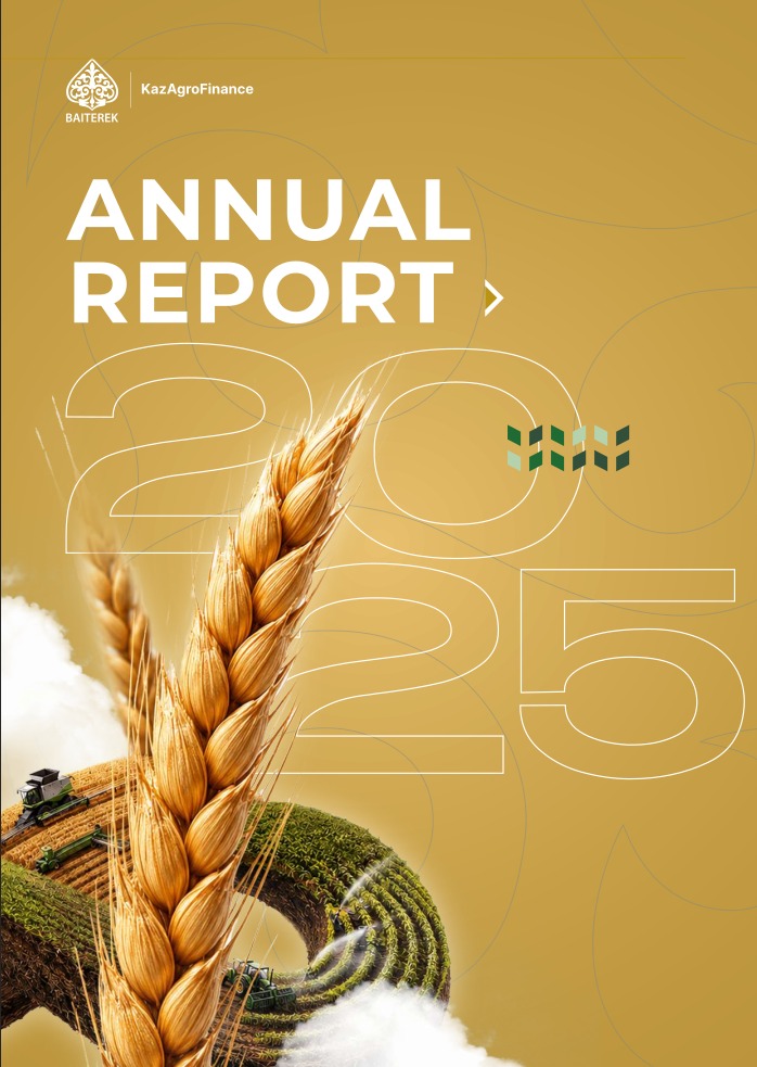 Annual Report (interactive version) 2025