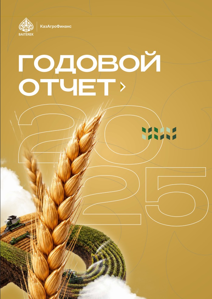 Годовой отчет за 2025 год (интерактивная версия)