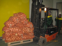 KazAgroFinance finances the construction of vegetable depots with a total capacity of up to 73.6 thousand tons
